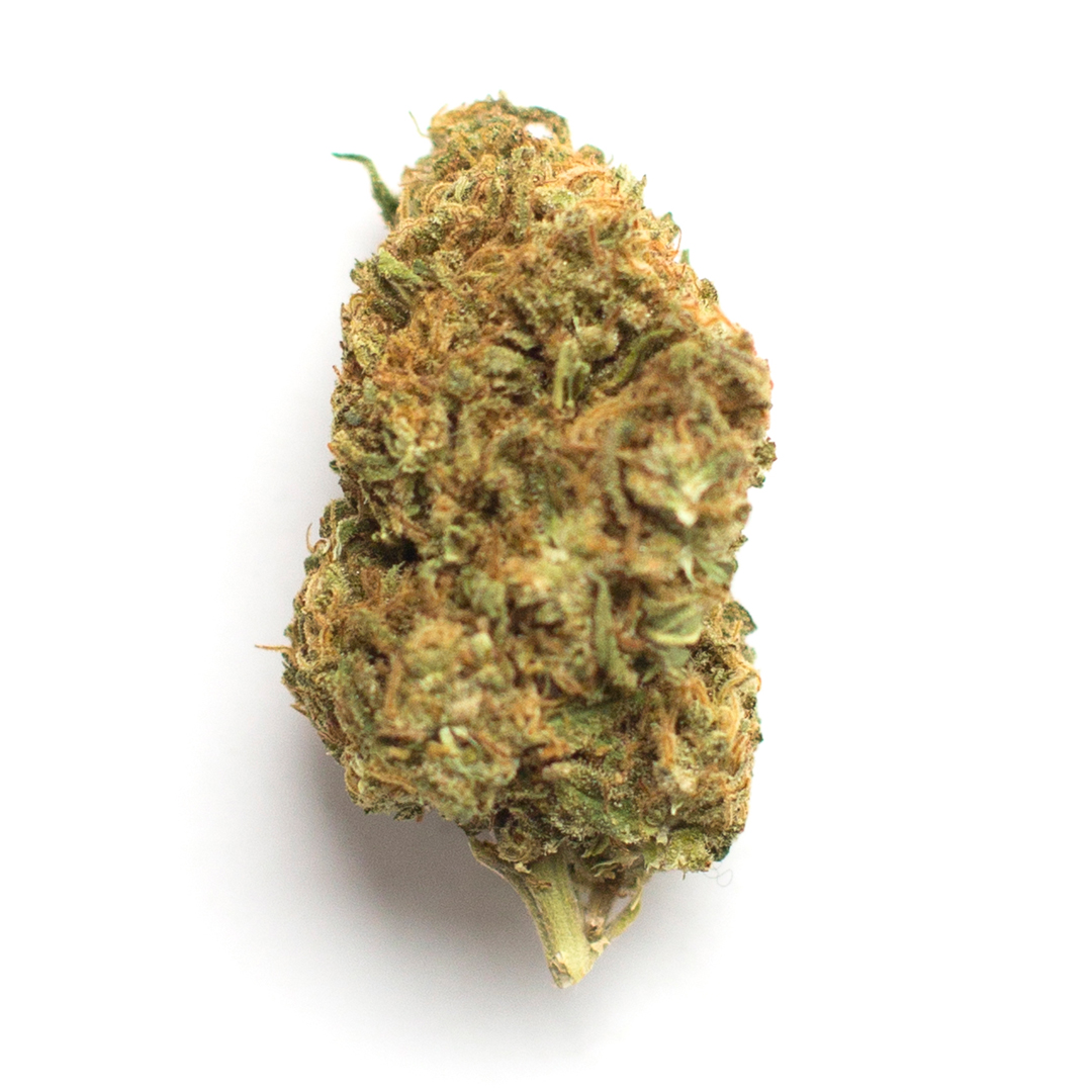 strain-32 strain 32