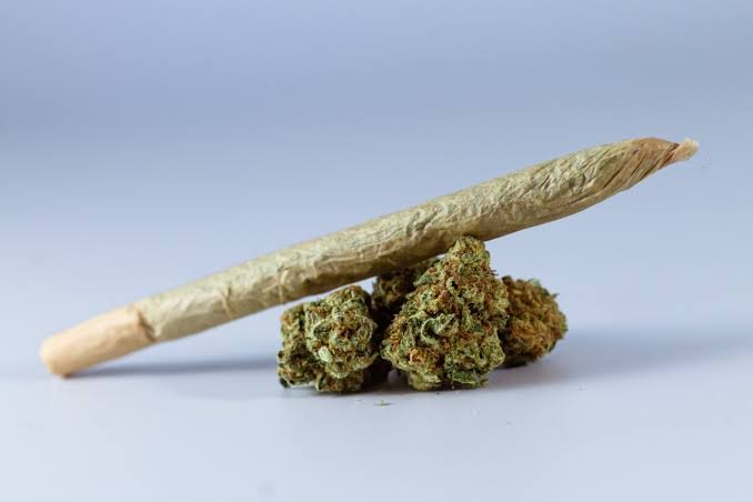 Pre-rolled cannabis joints UK — ready to smoke