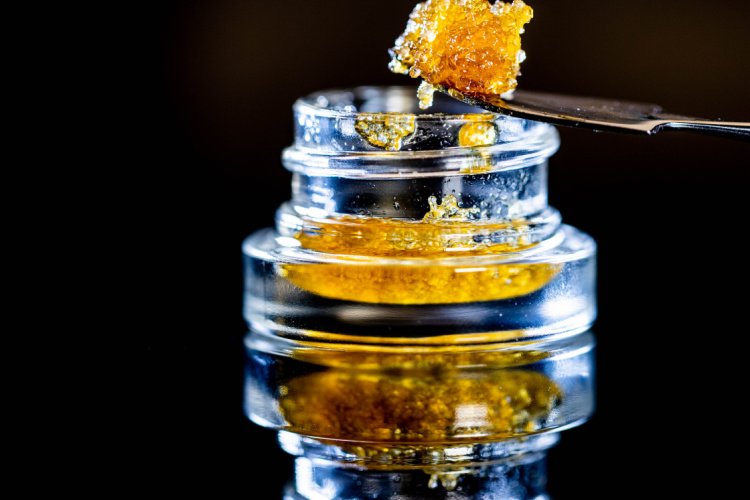 cannabis concentrates