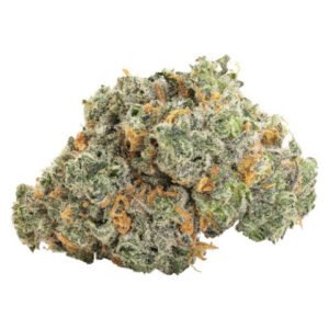 BBOB BLUEBERRY DREAM DRIED FLOWER 1 bbob blueberry dream dried flower 1