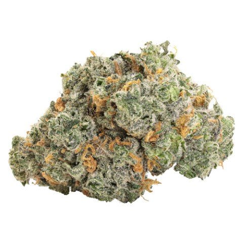 BBOB BLUEBERRY DREAM DRIED FLOWER bbob blueberry dream dried flower