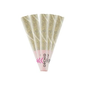 CBD RNTZ PRE-ROLLS 1 cbd rntz pre rolls 1