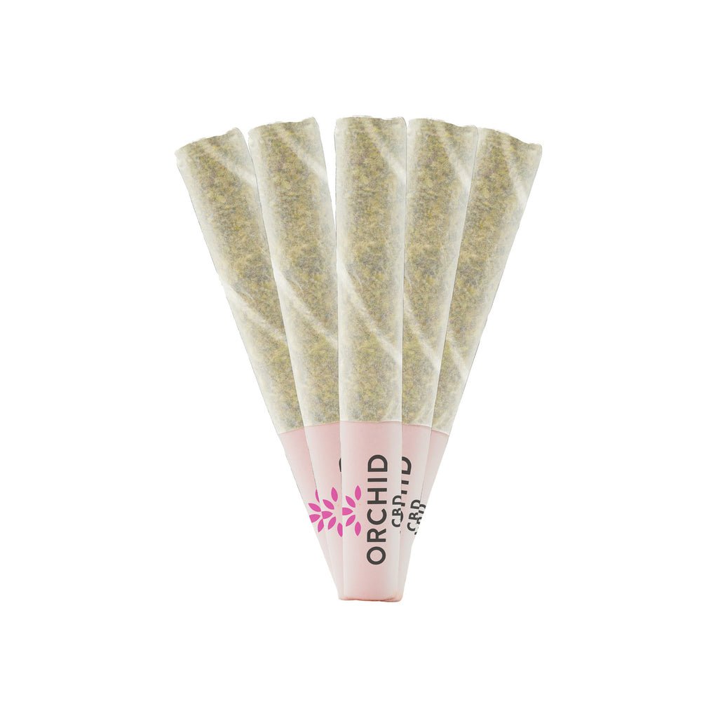 CBD RNTZ PRE-ROLLS cbd rntz pre rolls 1