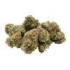 comatose flower