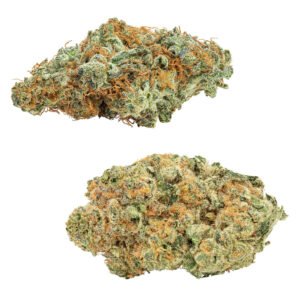 comboz amnesia og tropicanna tangie lto 1