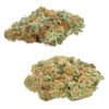 comboz amnesia og tropicanna tangie lto