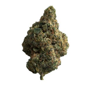 exotic gas 1