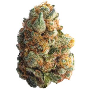 gmo cookies 1