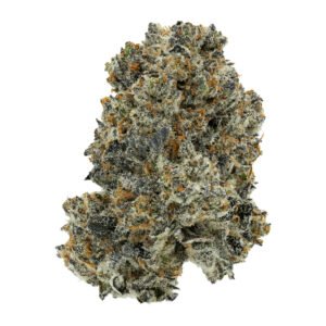 gmo x fpog 1