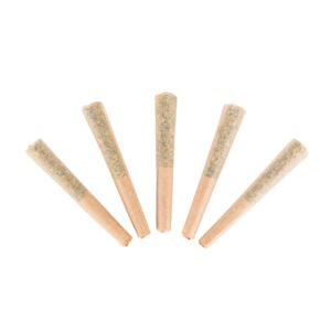 jamaican pearl prerolls 1