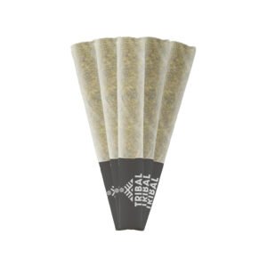 NEON SUNSHINE PRE-ROLLS 1 neon sunshine pre rolls 1