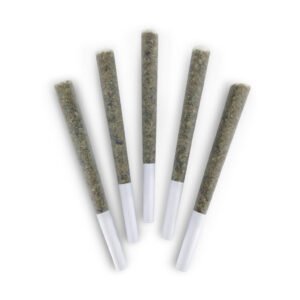 night arcade pre rolls 1