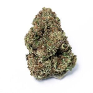 NORTHERN LIGHTS