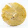 peanut butter cookie 260mg thc canna co medibles