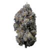 pine mentz petites flower lto
