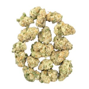 roll x minis 1