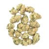 roll x minis