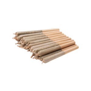 SATIVA JAR OF JS PRE-ROLLS