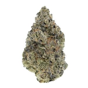sunset sherbet craft flower 1