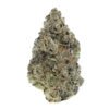 sunset sherbet craft flower