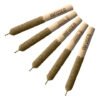 taster pack infused pre rolls