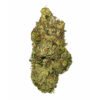 timmys og shark