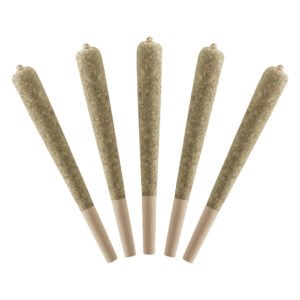 watermelon infused pre rolls 1